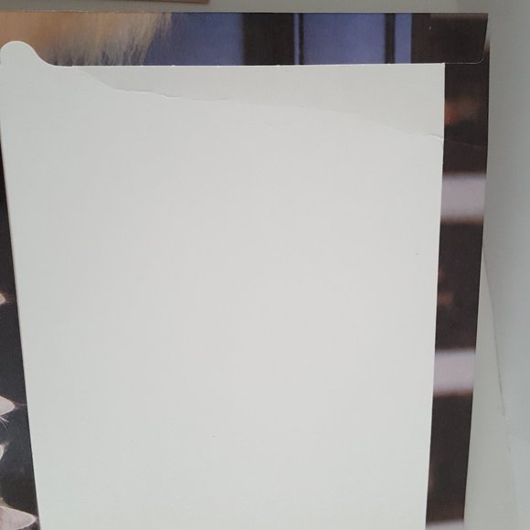 2-Pocket Folder Class Act Paper Portfolio Kittens Keith Kimberlin - Picture 5 of 10